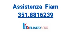 Assistenza Fiam